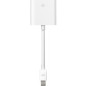 ADAPTATEUR MINI DISPLAY PORT VERS DVI