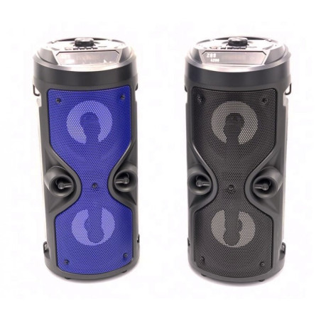 HAUT PARLEUR BLUETOOTH ZQS-4209 / ZQS-4210