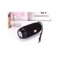 Speaker Bluetooth TG-602 avec Micro SD et Flash 10 Watt