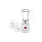 BLENDER MOULINEX UNO LM2221BM + 2 ACCESSOIRES / 350W (LM2221BM)