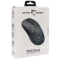 SOURIS WHITE SHARK TRISTAN (GM-9004)