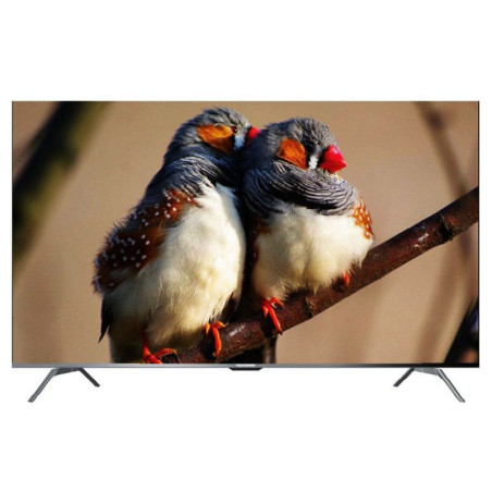 TV TELEFUNKEN