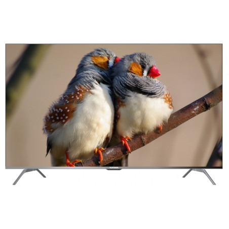 TV TELEFUNKEN