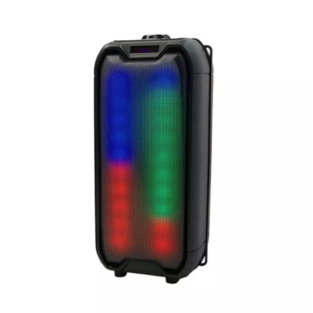 HAUT PARLEUR SPEAKER 4235 BT
