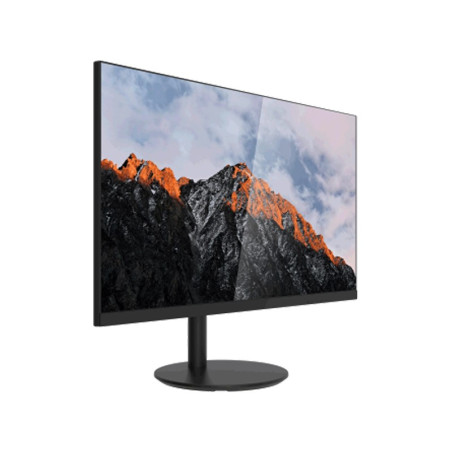 ECRAN DAHUA 27"