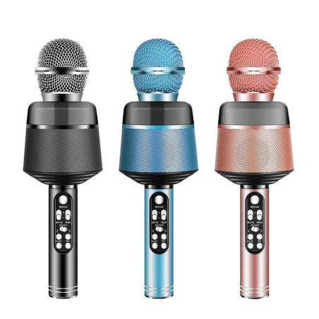 SPEAKER MICRO KARAOKE Q008
