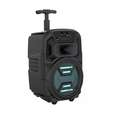 HAUT PARLEUR  BLUETOOTH LED 6.5 POUCES (ZQS-6111)