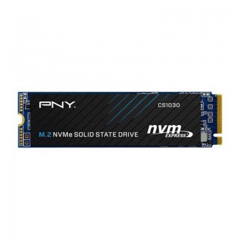 DISQUE DUR INTERNE CS1030 SSD