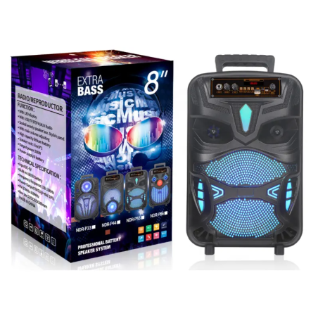 HAUT PARLEUR KARAOKÉ 8 POUCES + TELECOMMANDE+MICRO FILAIRE NDR-P55