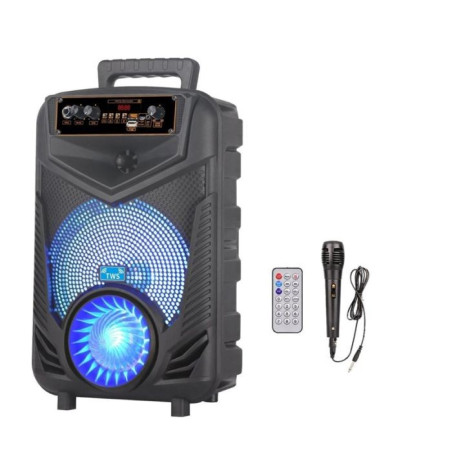HAUT PARLEUR BLUETOOTH PORTABLE NDR P44