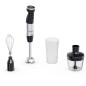 MIXEUR PLONGEANT 100W + 3 ACCCESSOIRES