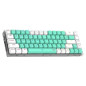 CLAVIER GAMER SANS FIL REDRAGON CASTOR PRO K631RGB PRO-RGB-GW CLAVIER GAMER SANS FIL REDRAGON CASTOR PRO K631RGB PRO-RGB-GW
