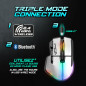SOURIS GAMER SPIRIT OF GAMER SANS FIL PRO-M5 RGB - BLANC SOURIS GAMER SPIRIT OF GAMER SANS FIL PRO-M5 RGB - BLANC