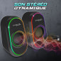 Haut-parleur Gamer Sans Fil SPIRIT OF GAMER Fanatic 500 RGB - Noir