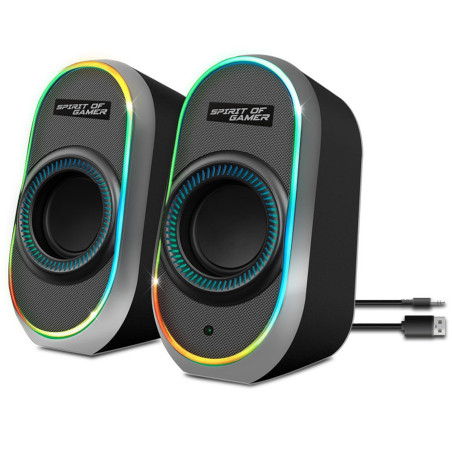 Haut-parleur Gamer Sans Fil SPIRIT OF GAMER Fanatic 500 RGB - Noir