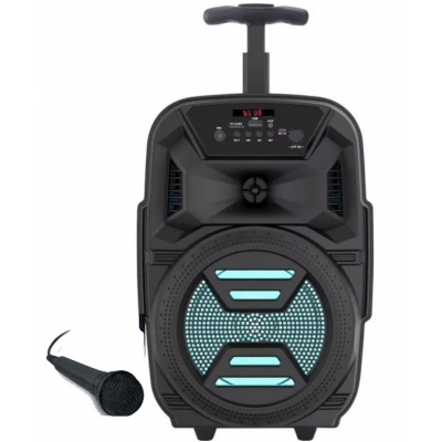 HAUT PARLEUR  BLUETOOTH LED...