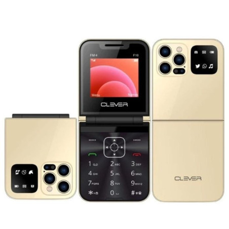 TELEPHONE PORTABLE CLEVER F10
