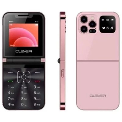 TELEPHONE PORTABLE CLEVER F10