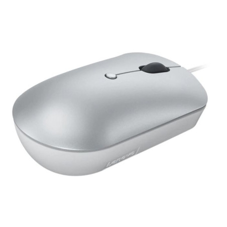 SOURIS OPTIQUE FILAIRE LENOVO 540 COMPACTE - GRIS NUAGE (GY51D20877/TN)