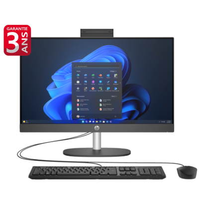 PC DE BUREAU ALL IN ONE HP