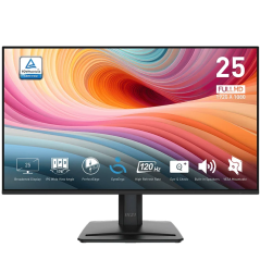ECRAN MSI PRO MP MP251 24.5"