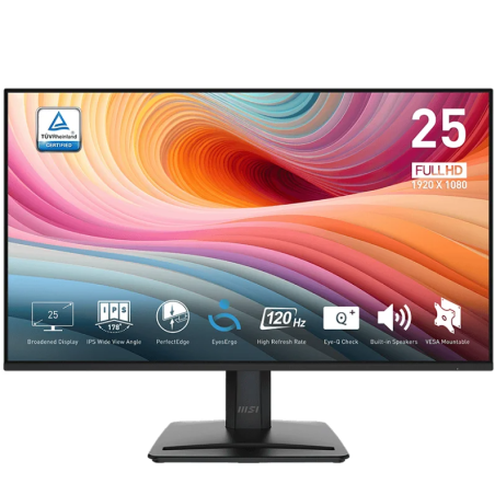 ECRAN MSI PRO MP MP251 24.5"